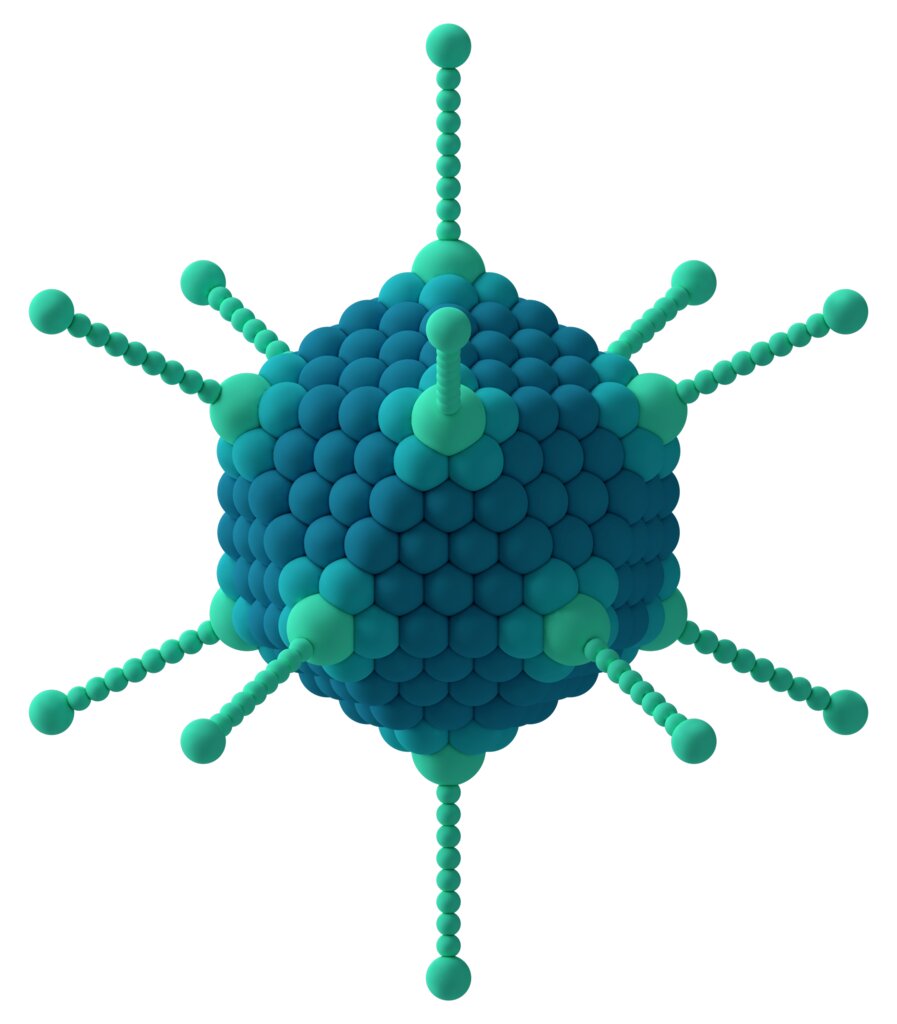 adenovirus