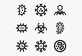 variety in structure of viruses 