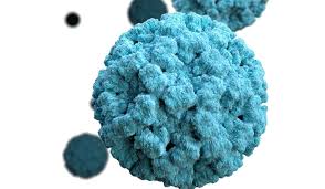 Norovirus